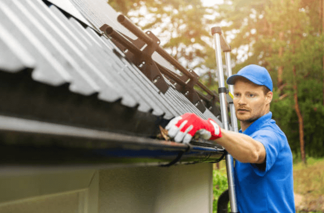 grand rapids gutter service